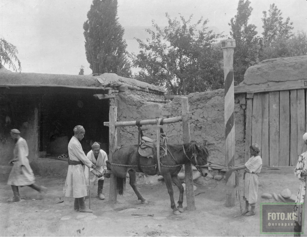 Узген. Гужевой транспорт. Подковка коня.